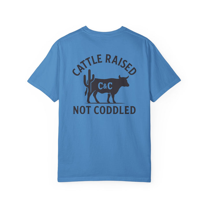 CATTLE RAISED, NOT CODDLED - Thistle Canyon Co.